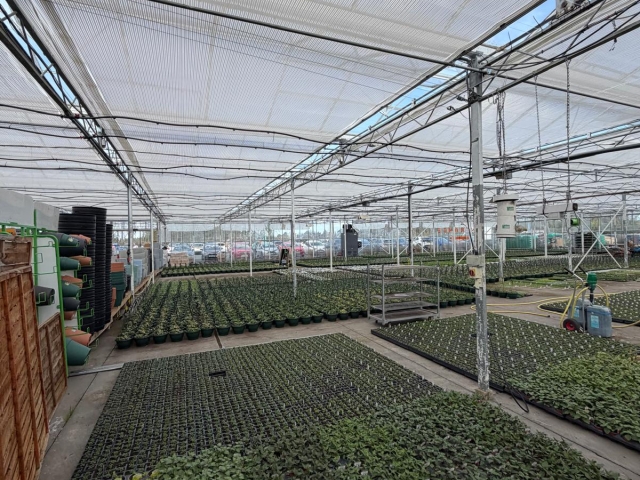 Plantsplus2