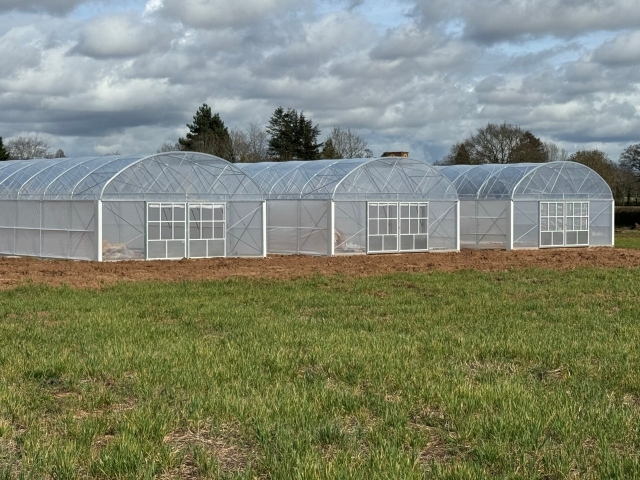 polytunnel-1.jpg