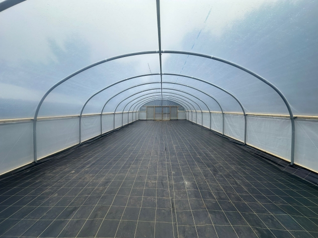 polytunnel-2.jpg