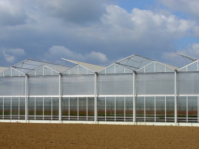 venlo-polyhouse-1.jpg