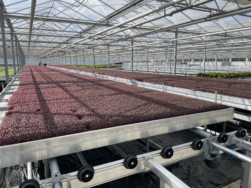 Turn key project image 2