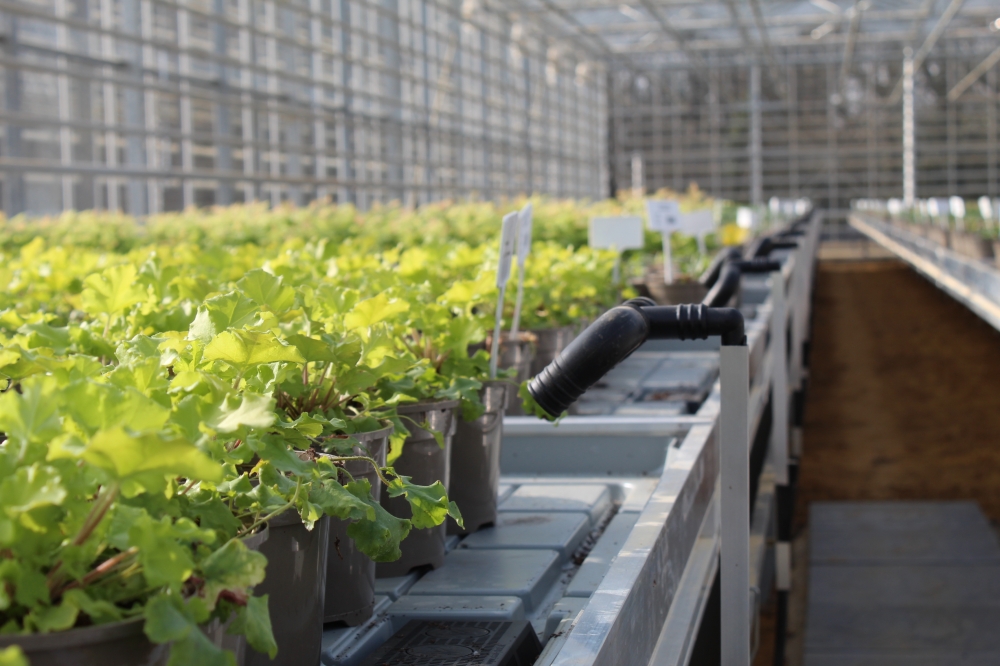 Turn key project image 2