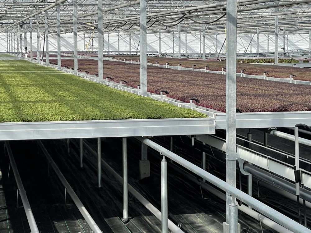 Turn key project image 1