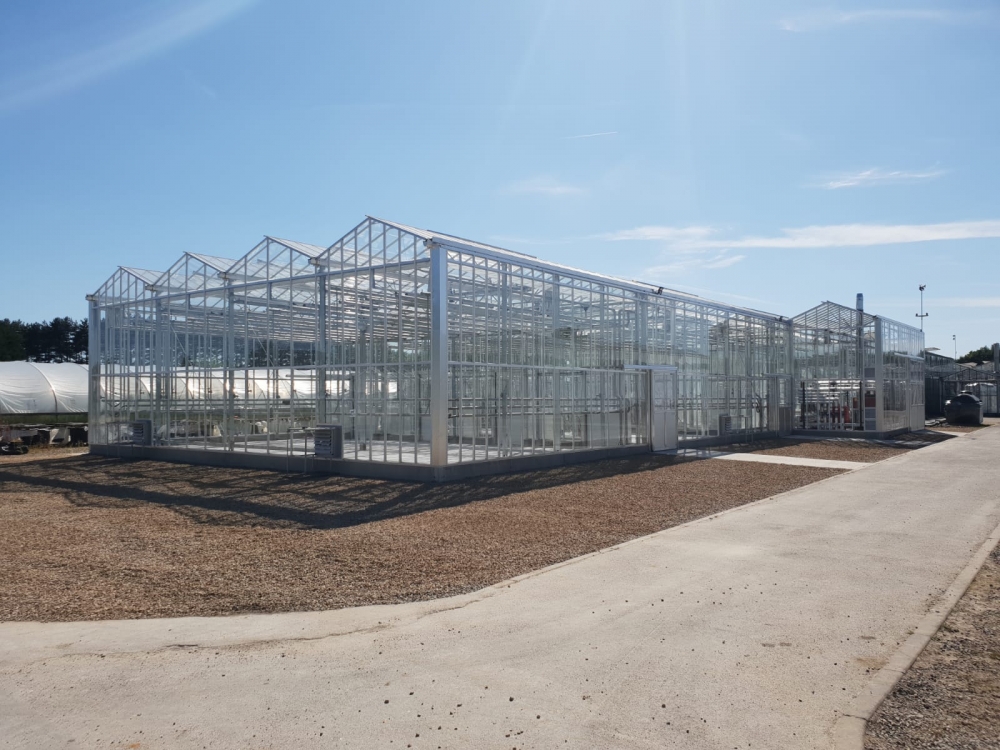 New Glasshouses