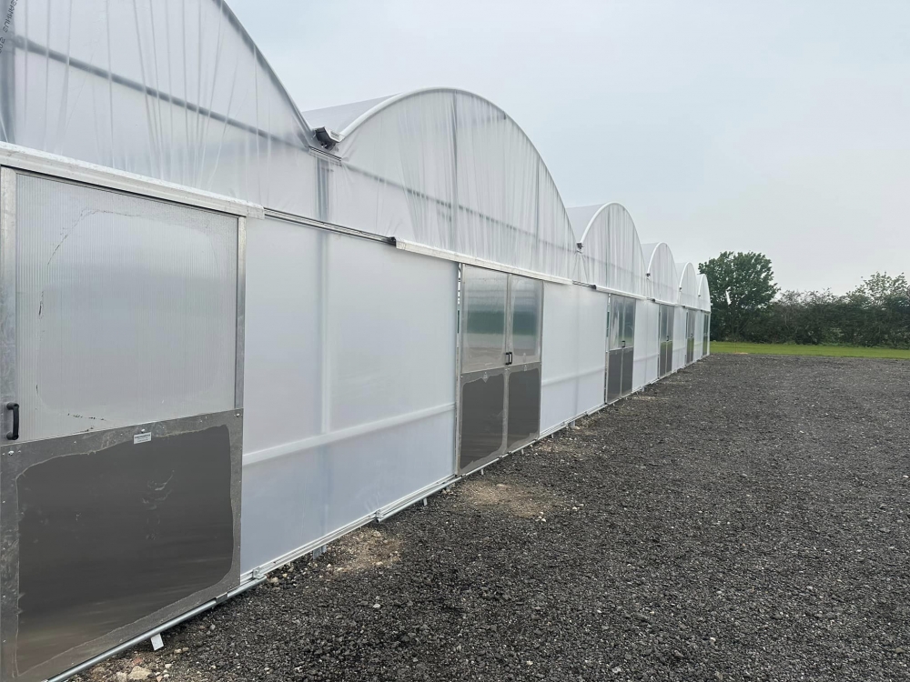Polytunnel