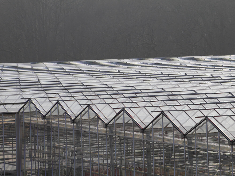 Used Glasshouses