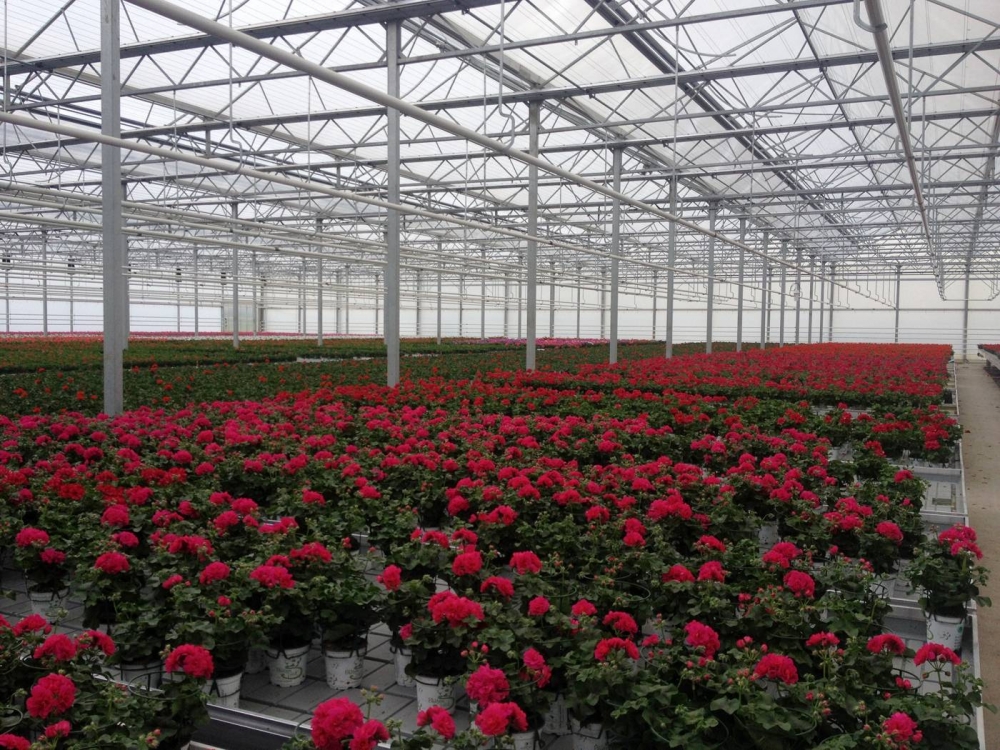 Turn key project image 1