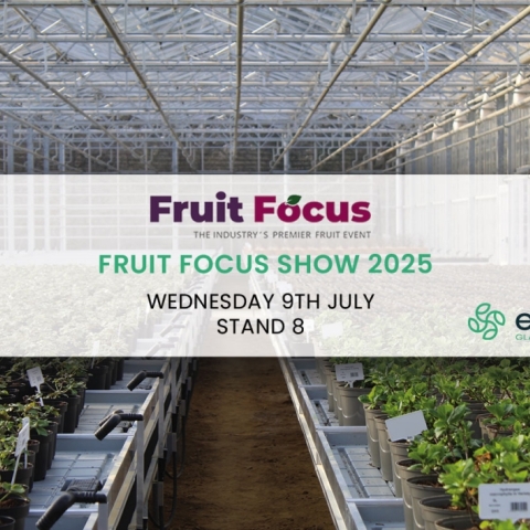 Visit us at the upcoming Fruit Focus show on 9th July!