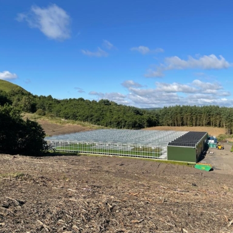 New and Used Venlo Glasshouses from Ebtech Glasshouse Systems