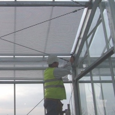 Trusted Glasshouse Maintenance Services from Ebtech