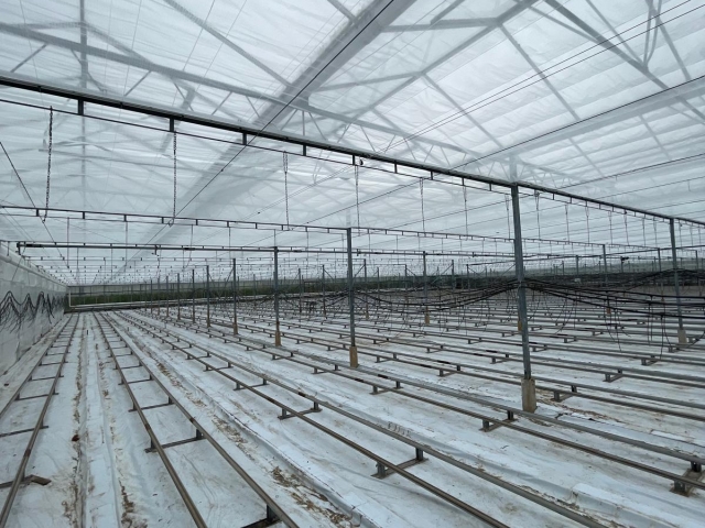 Edward Baarda Ltd - Screening Renovation