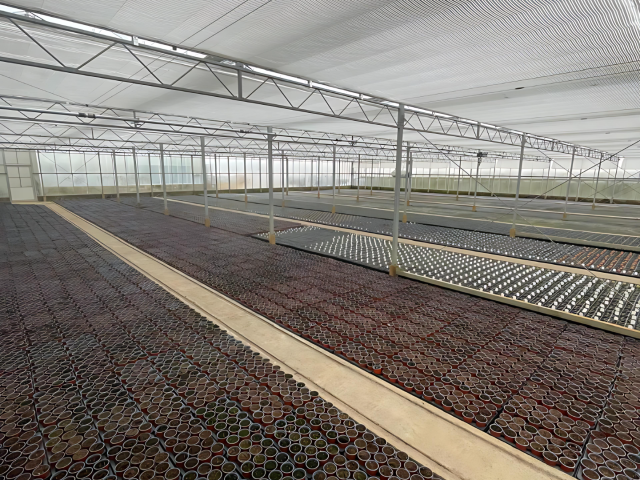 Aldby Fields Nurseries Ltd - Energy Saving Screen Installation