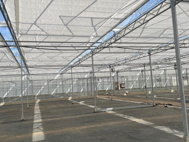 Les Halman Nurseries - Screening Renovation