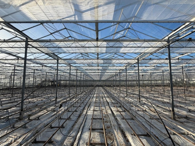 Edward Baarda Ltd - Screening Renovation Phase 2