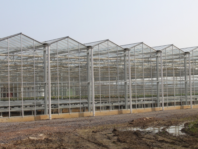 Stewarts Nurseries - Turnkey Glasshouse