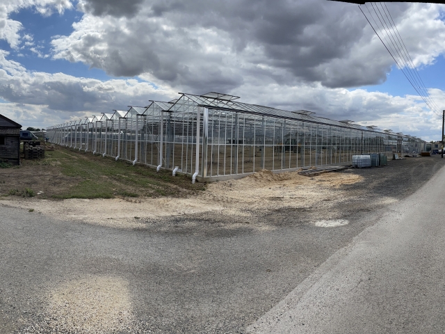 W.S Bentley Growers - Used Turnkey Glasshouse