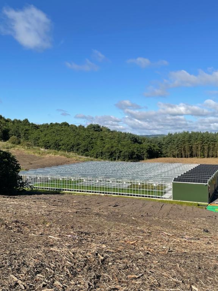 Kilrie Trees - Turnkey Glasshouse