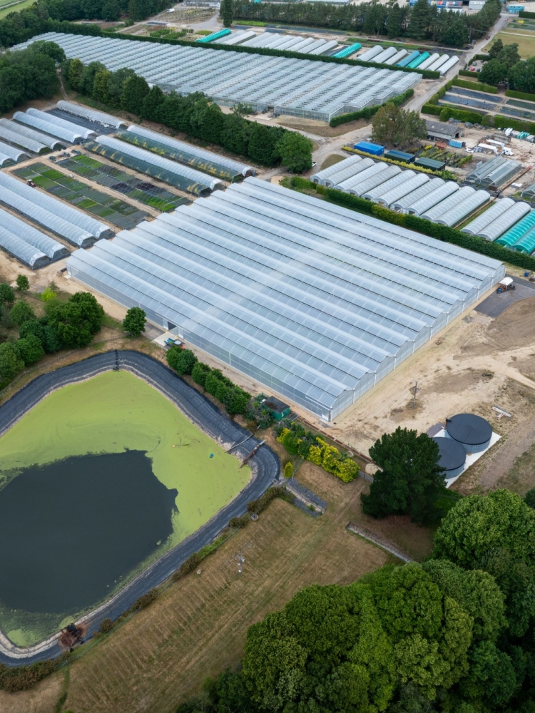 Hilliers Nurseries - Turnkey Polyhouse