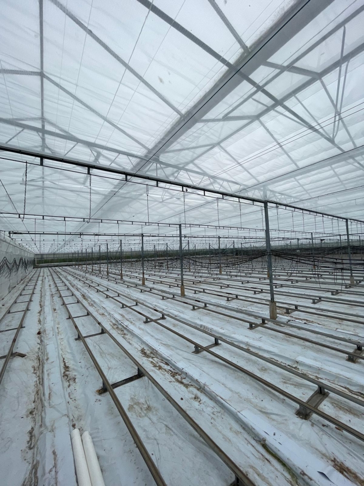 Edward Baarda Ltd - Screening Renovation