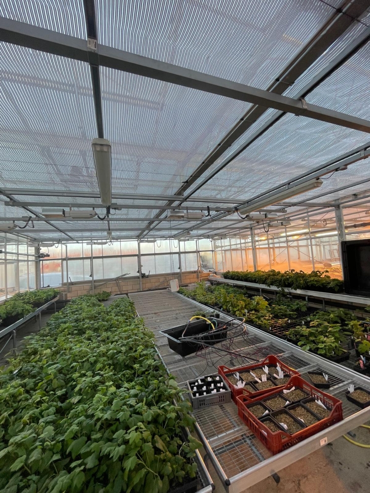 James Hutton Institute - Shade Screening Renovations