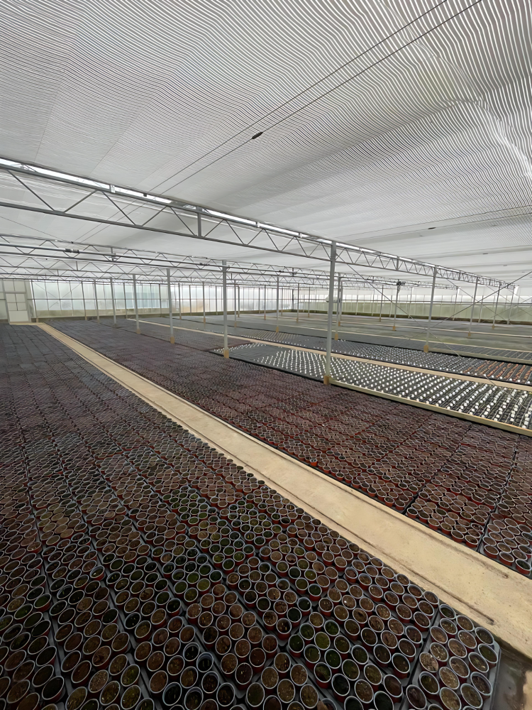 Aldby Fields Nurseries Ltd - Energy Saving Screen Installation