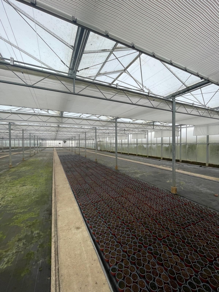 Aldby Fields Nurseries Ltd - Energy Saving Screen Installation