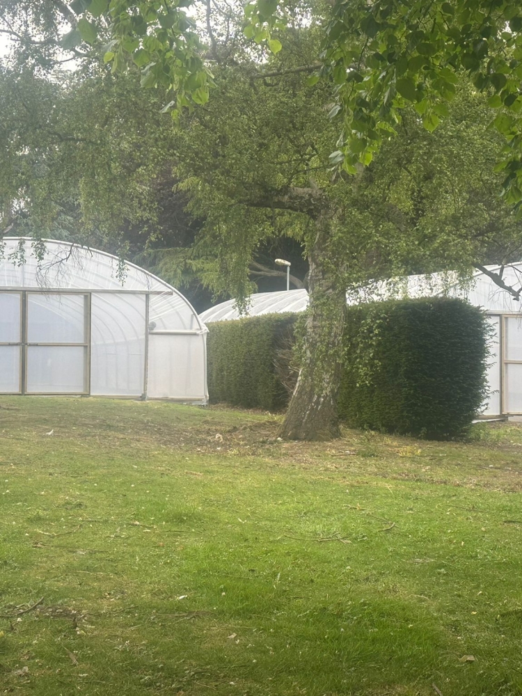 John Innes Research Centre - Relocation of Polytunnels