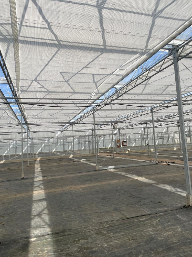 Les Halman Nurseries - Screening Renovation