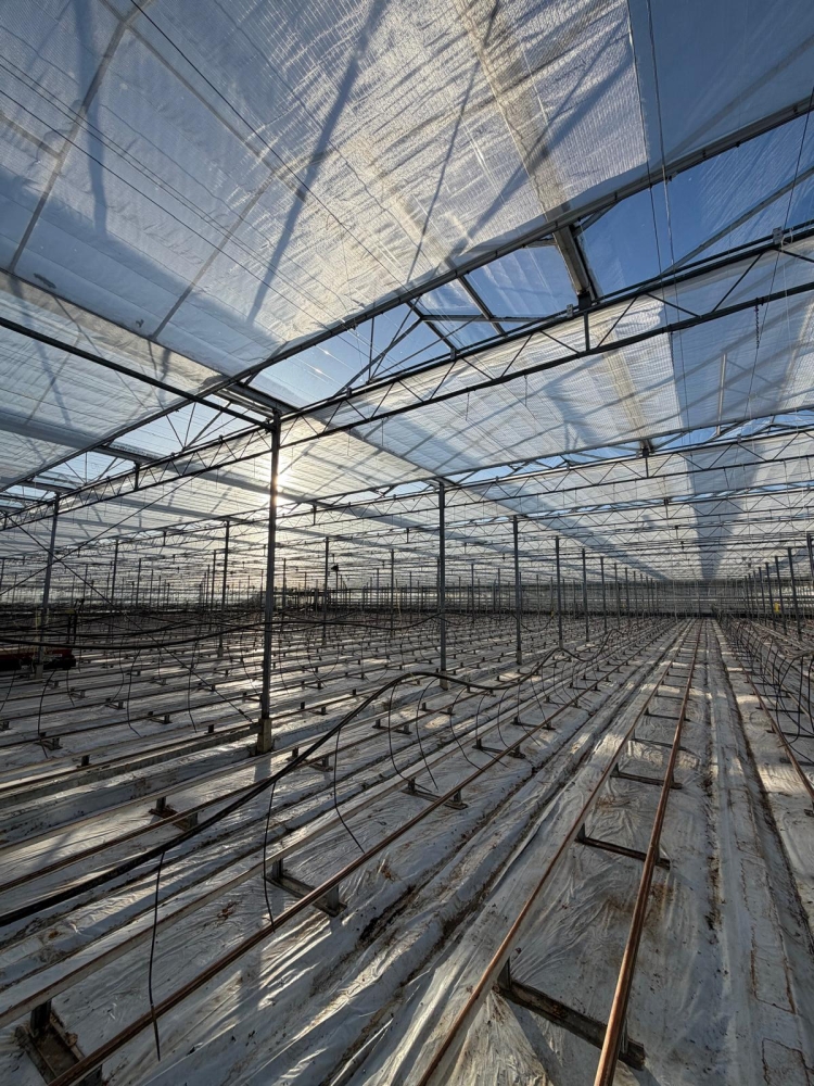 Edward Baarda Ltd - Screening Renovation Phase 2