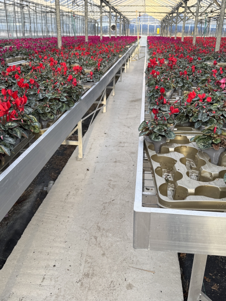 Ben Vista Garden Centre - Static Benching