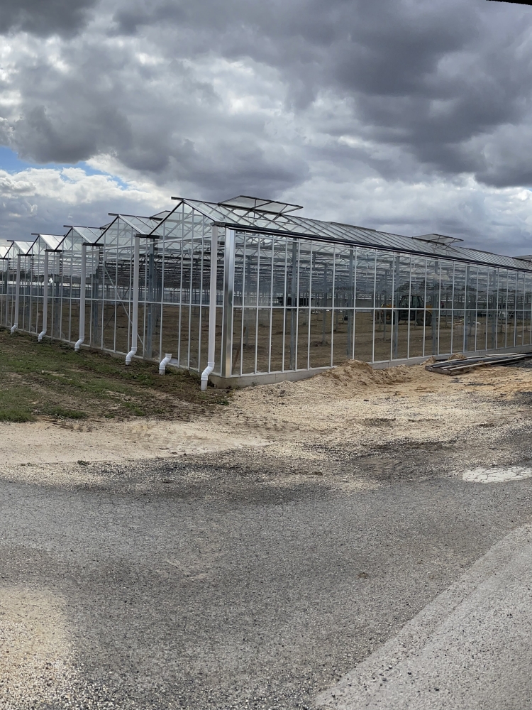 W.S Bentley Growers - Used Turnkey Glasshouse