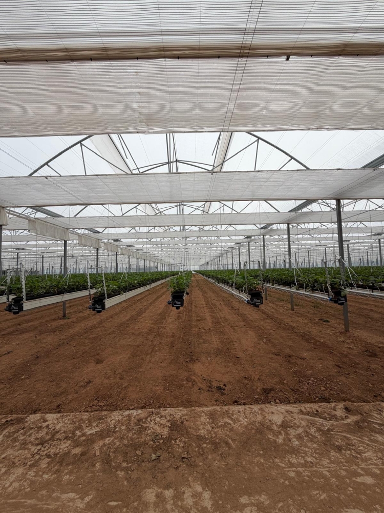 A. J. Busby Ltd - Energy Saving Screening Installation